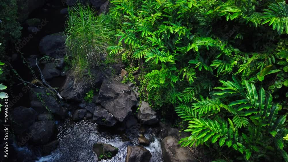 Maui, Hawaii Hana Highway Wailua Falls, near Lihue, Kauai. Road to Hana connects Kahului to