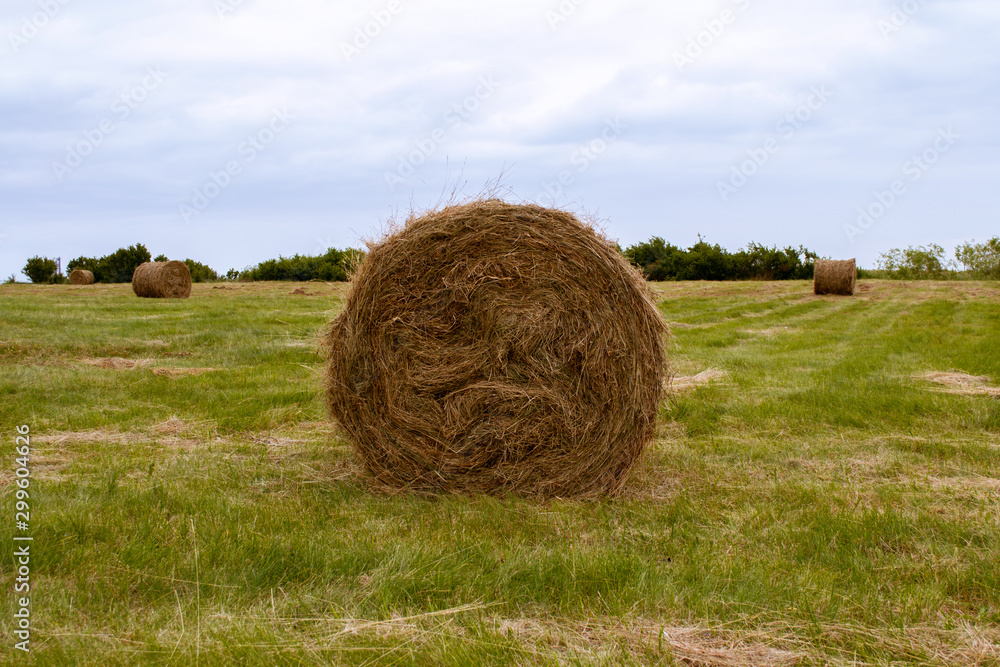 Hay bales on a cold autumn day Hay bales on a cold autumn day