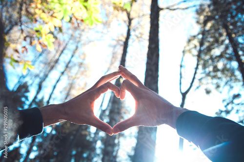 man hand heart in forest