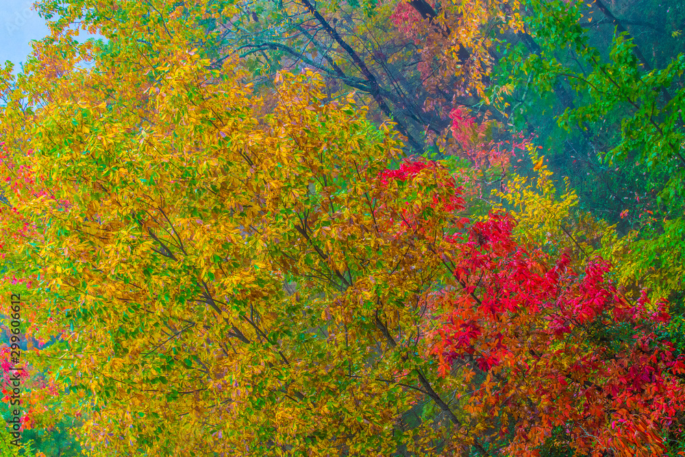 Fall - 7 Fall - 7