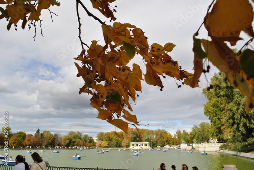 LEAVES LAKE photo