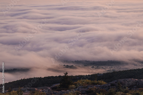 Sunrise in Acadia National Park