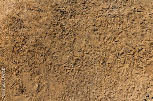 The surface of a dirty sandy floor, ground background with stones