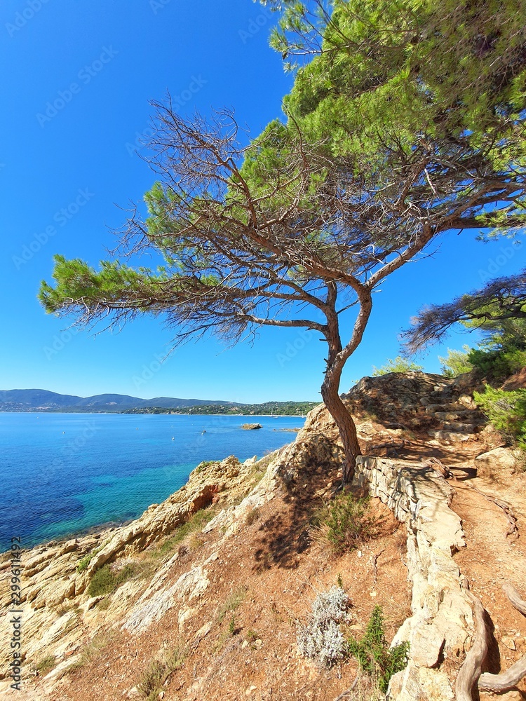 Splendide paysage méditerranéen de la Côte d'Azur en France depuis un sentier du littoral Splendide paysage méditerranéen de la Côte d'Azur en France depuis un sentier du littoral