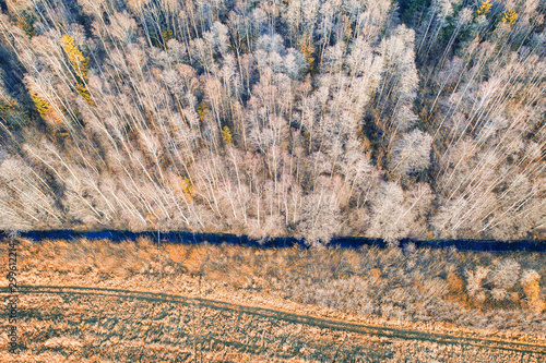 Autumn forest top aerial view