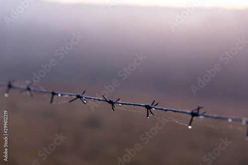 Barbed wire with dew drops on a blurred background.