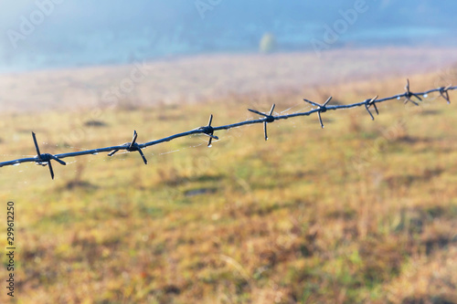 Barbed wire with dew drops on the background of blurred shiny in the sunlight grass with dew.