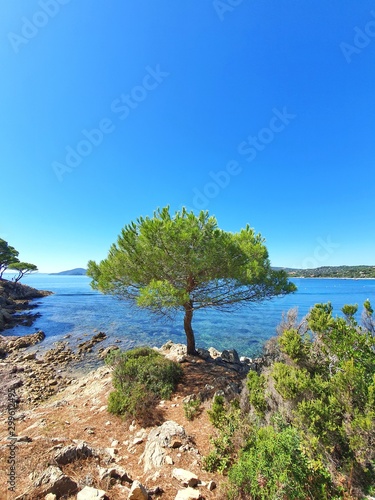 Fototapeta Naklejka Na Ścianę i Meble -  Splendide paysage méditerranéen de la Côte d'Azur en France depuis un sentier du littoral