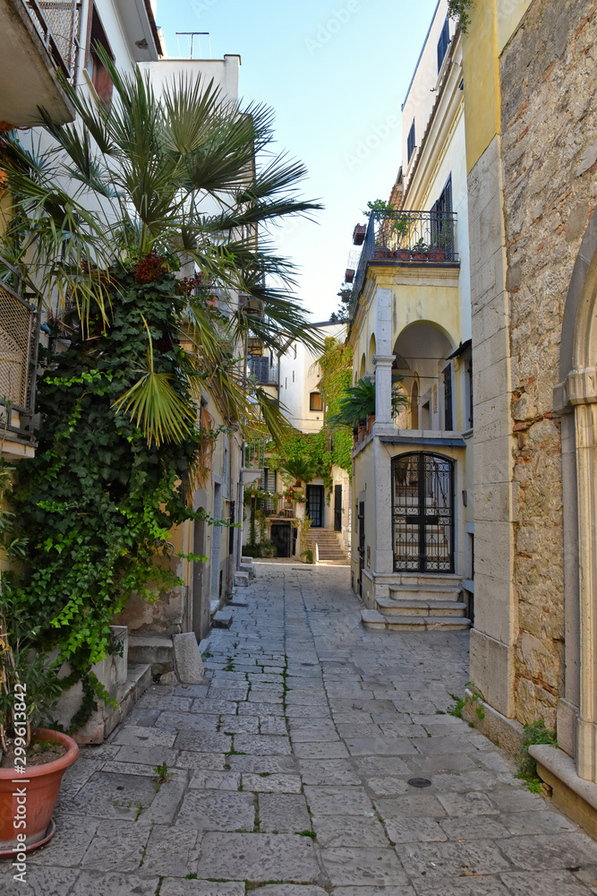 Venosa, Italy, 10/27/2019. A narrow street among the old houses of a medieval village Venosa, Italy, 10/27/2019. A narrow street among the old houses of a medieval village