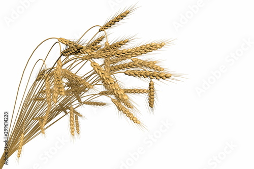 industrial 3D illustration of the beautiful bunch of wheat spica isolated on white background - agriculture