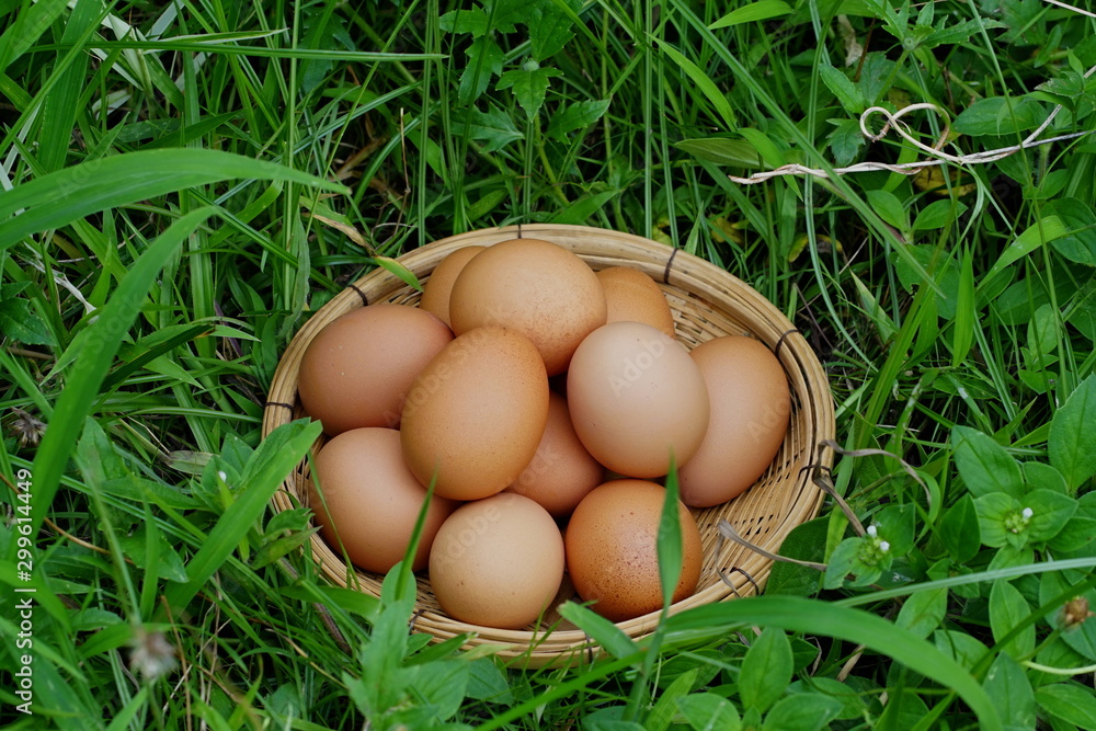 Eggs in basket with wood table background Eggs in basket with wood table background