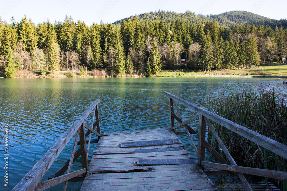 wooden bridge over lake