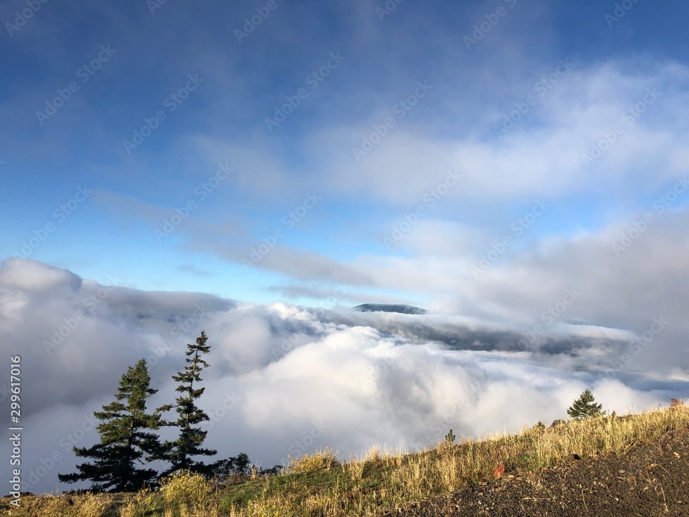 Above the Clouds Above the Clouds