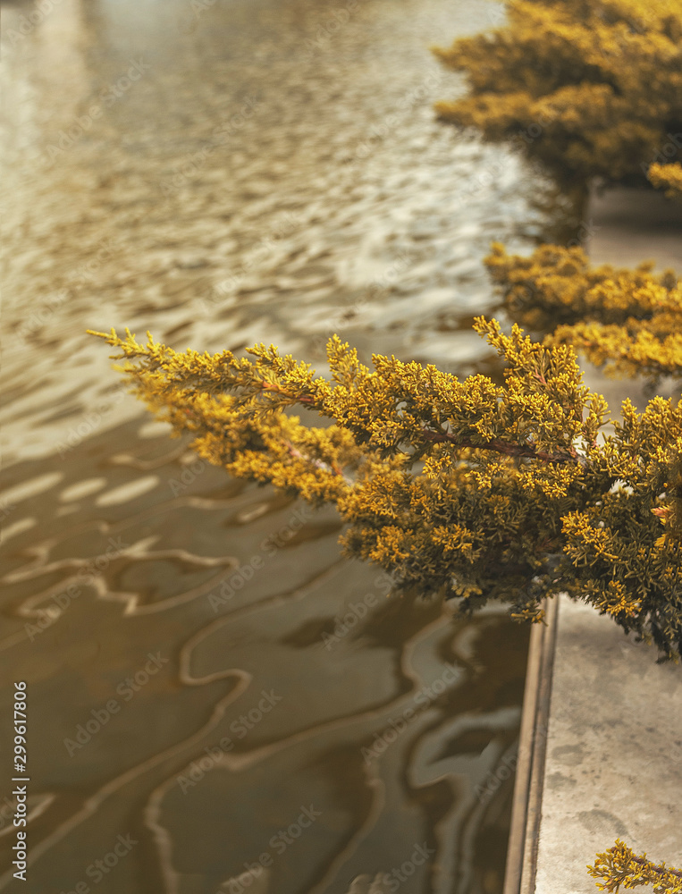 Vegetation with oriental style decoration Vegetation with oriental style decoration