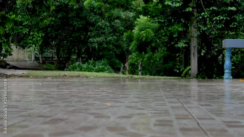 Raining on concrete floor in the area of house with yard or garden during raining season. Raining on concrete floor in the area of house with yard or garden during raining season.