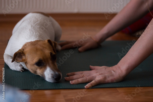 woman with dog on the yoga mat