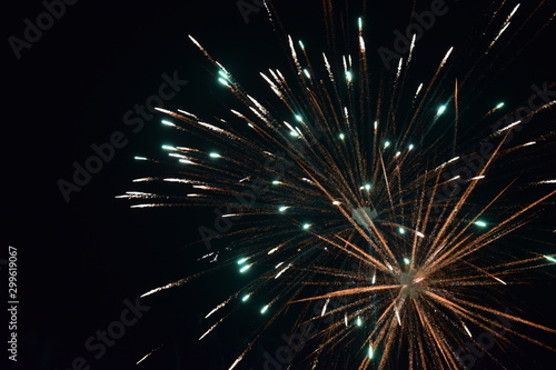 fireworks in the night sky Dusherra Celebrations 