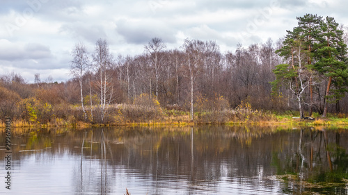Autumn forest on the lake is reflected in the water.