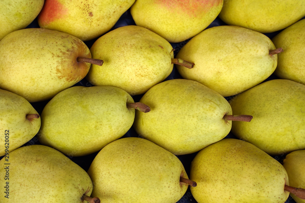 ripe pears are laid out in one direction ripe pears are laid out in one direction