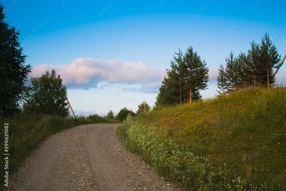 Fototapeta premium Деревенская дорога