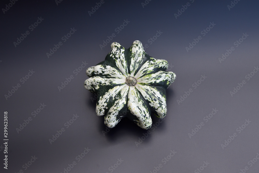 green and white decorative pumpkin on a black background