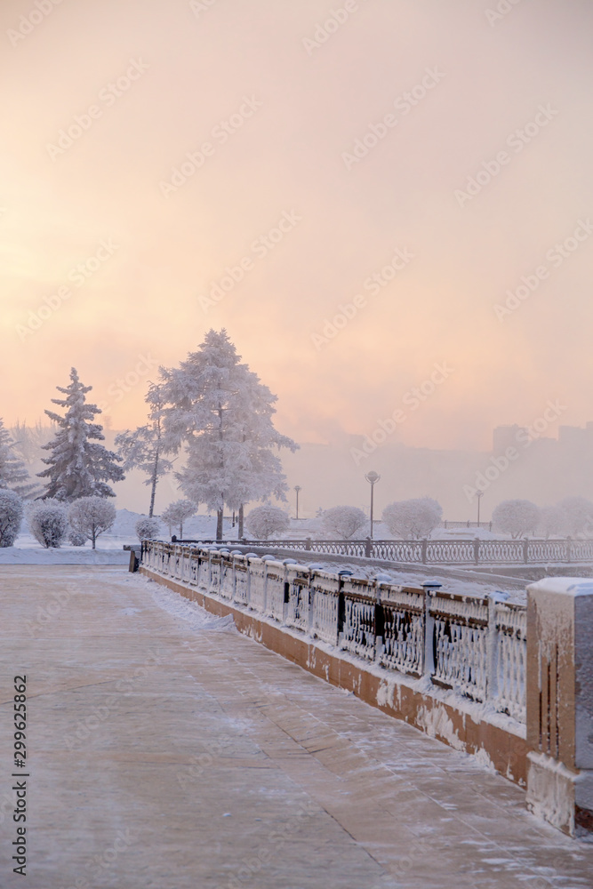 Winter landscape of frosty trees, white snow in city park. Trees covered with snow in Siberia, Irkutsk near lake Baikal. Extremely cold winter