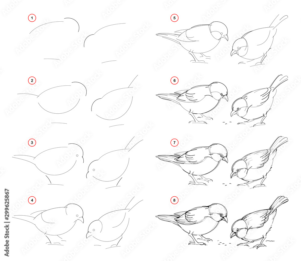 How to draw from nature step by step sketch of sparrows. Creation ...