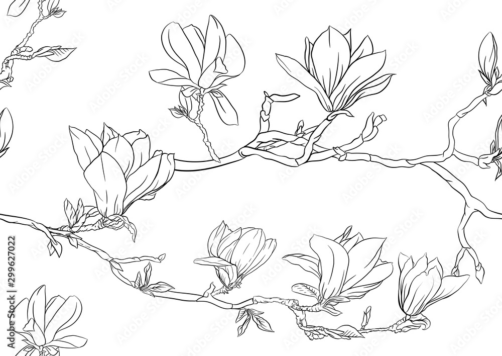 Magnolia tree branch with flowers. Seamless pattern, background. Outline hand drawing vector illustration.. Magnolia tree branch with flowers. Seamless pattern, background. Outline hand drawing vector illustration..