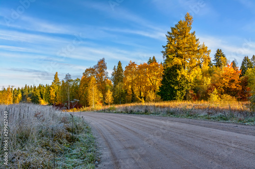 Sunny morning in Karelia.