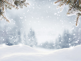 Snowfall in winter forest.Beautiful landscape with snow covered fir trees and snowdrifts.Merry Christmas and happy New Year greeting background with copy-space.Winter fairytale.