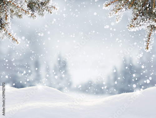 Obraz na plátně Snowfall in winter forest