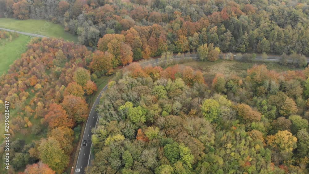 Curved Hill Road Autumn Colour Trees Cotswold Landscape 4K Curved Hill Road Autumn Colour Trees Cotswold Landscape 4K