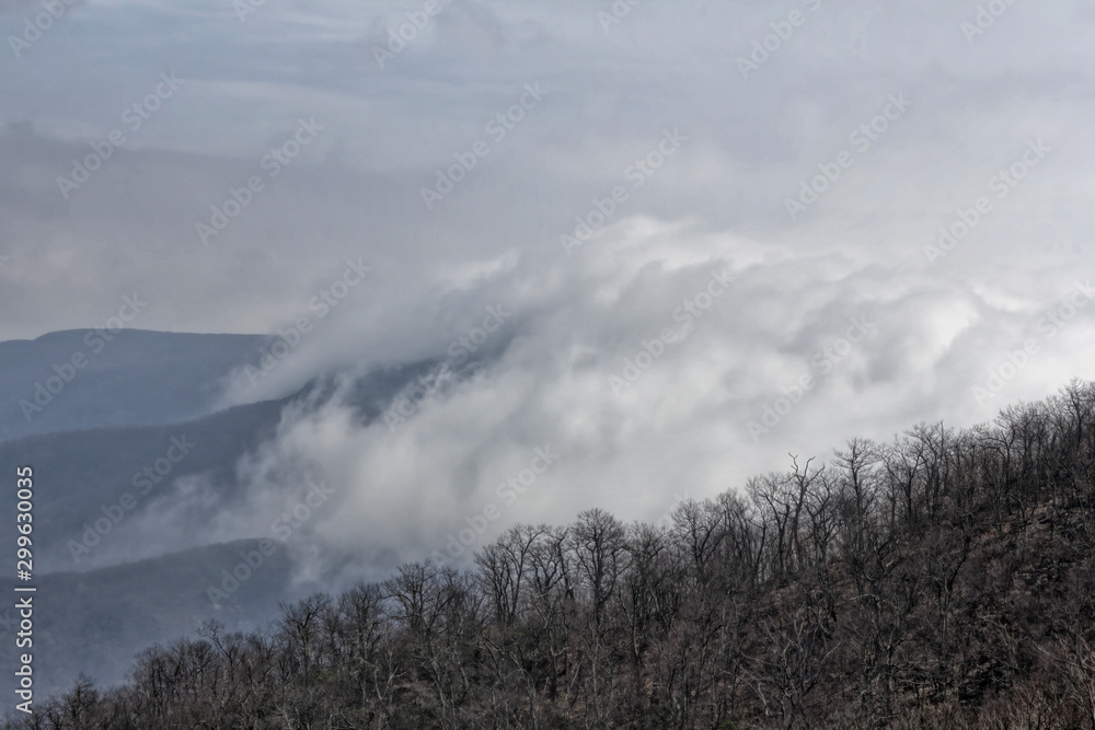 Shenandoah Valley Fog