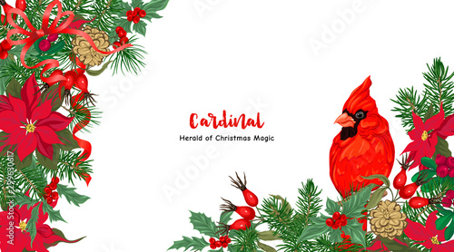 Cardinal bird and Christmas wreath of spruce, pine, poinsettia Template for card, banner, gift voucher, label. Colored vector illustration