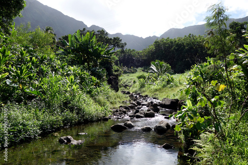 He'eia Stream filled with large boulders and surrounded by trees and plants