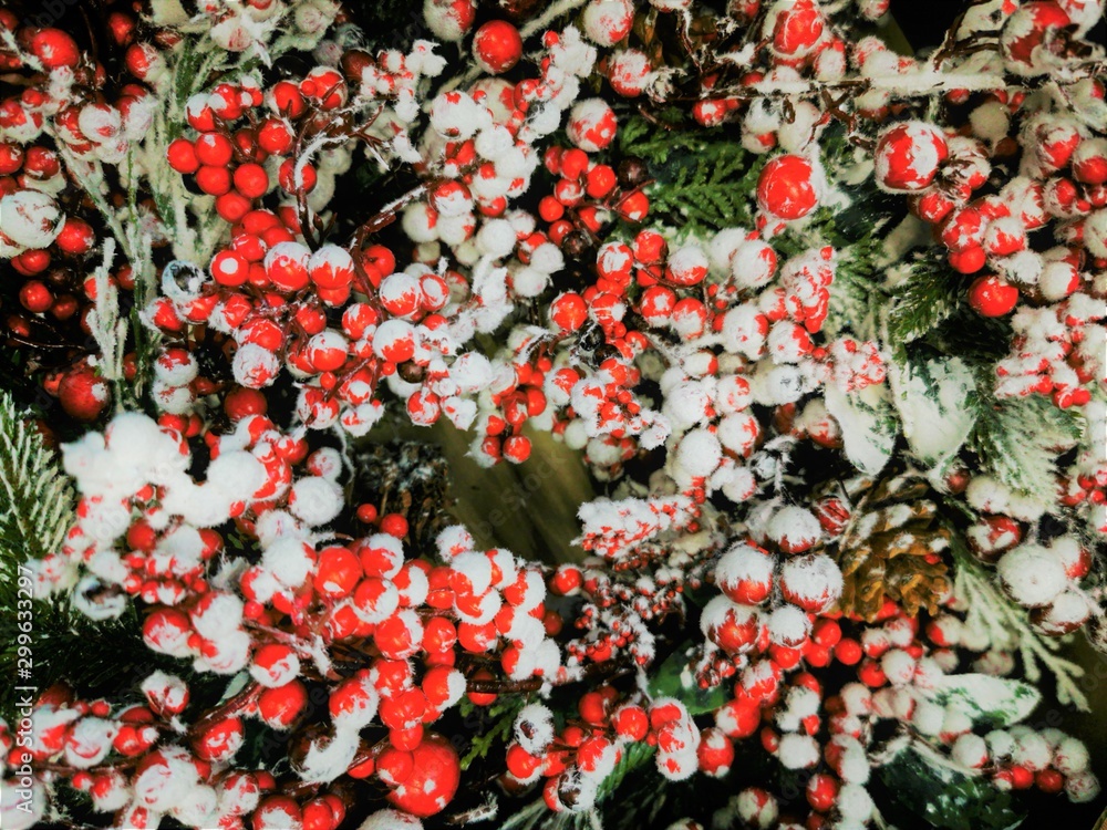 Christmas background with snow-covered cones and branches, red Holly berries. White-red christmas pattern. Copy space, nature frame. Xmas card. Christmas background with snow-covered cones and branches, red Holly berries. White-red christmas pattern. Copy space, nature frame. Xmas card.