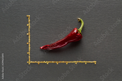 Single red dried banana pepper on gray background with graph lines drawn with pepper seeds