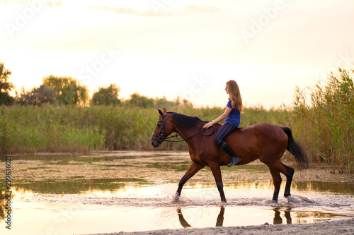 A young girl riding a horse on a shallow lake. A horse runs on water at sunset. Care and walk with the horse. Strength and Beauty