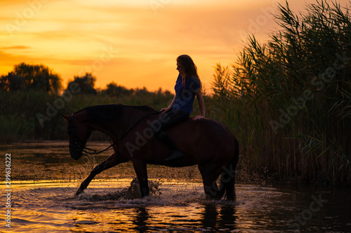 A slender girl on a horse is at sunset. A horse is standing in a lake. Care and walk with the horse. Strength and Beauty