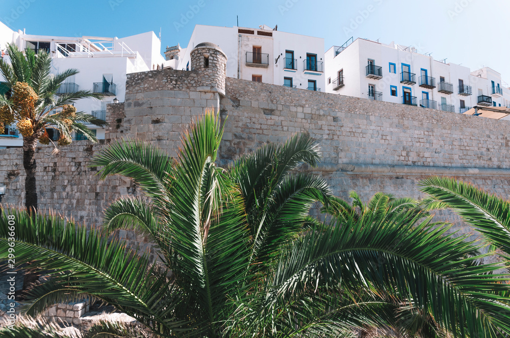 Palm tree in front of the walls of Peñiscola. Travel concept