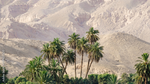 Green Nile river coast with palms and mountains of Eastern Desert, Egypt