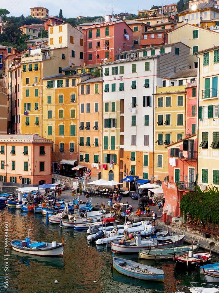  Camogli - rainbow-colored houses in the tourist resort on the west side of Portofino, on the Golf of Paradiso in the Riviera di Levante, in the Metropolitan City of Genoa, Liguria, northern Italy.