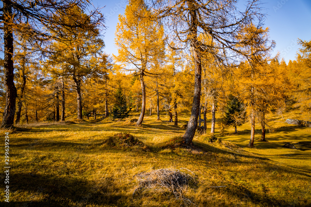 Naklejka premium Herbst 2019