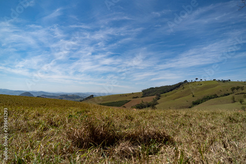 landscape with green field and blue sky