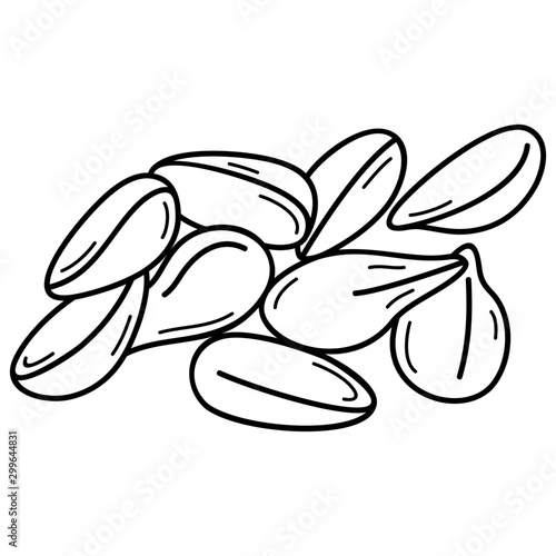 Beech Nut