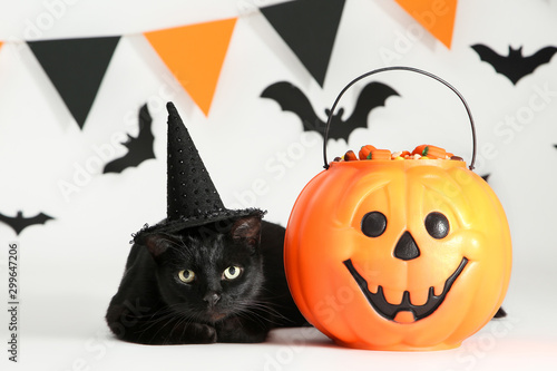 Photography Black cat with candies in halloween bucket and paper bats on white background