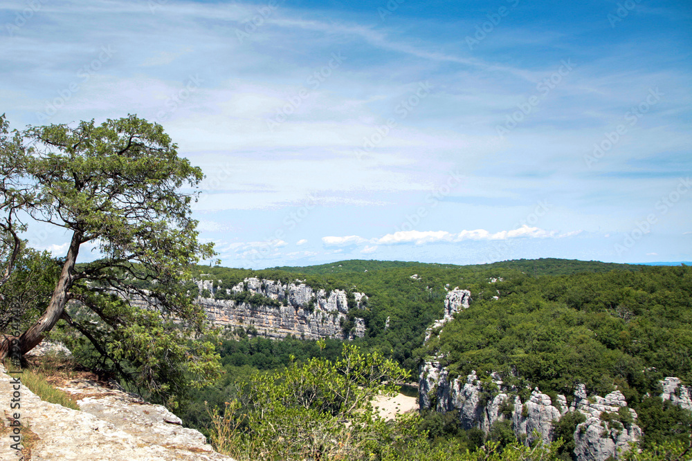 Mountain river canyon in southern France. Nature reserve the Païolive Wood in the Ardèche Cévennes. Gorge of Chassezac river, forest and rocks. French landscape
