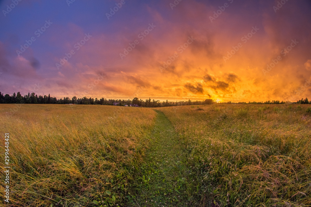 sunset over field