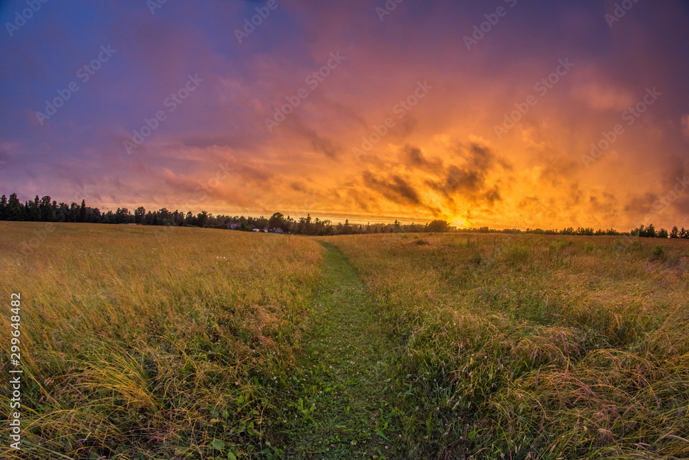 sunset over field 