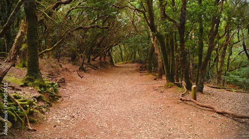 The mystic of the Path of the Senses on Tenerife photo